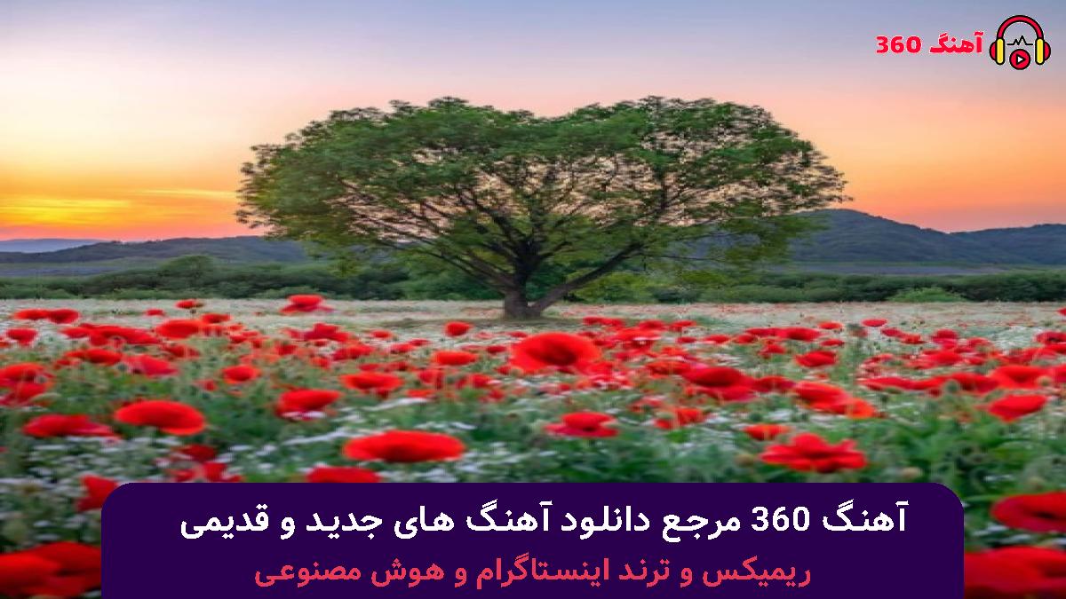 کاور آهنگ پزتو هی میدم پیش همه با صدای 